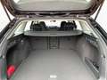 Volkswagen Passat 1,5 eTSI (150 PS) DSG | Navi | Sitzheiz. Schwarz - thumbnail 14