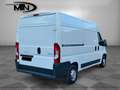 Peugeot Boxer Kasten H2+L2/3.Stz/KLIMA/WÜRTH-REGAL/1.HA Biały - thumbnail 3