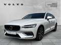 Volvo V60 Kombi Plus Bright Recharge Plug-In Hybrid AWD T6 T Blanc - thumbnail 1