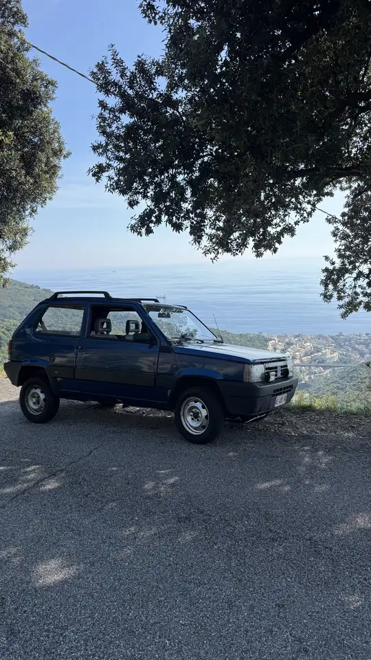 Fiat Panda 1.1 Country Club 4x4, foto 7