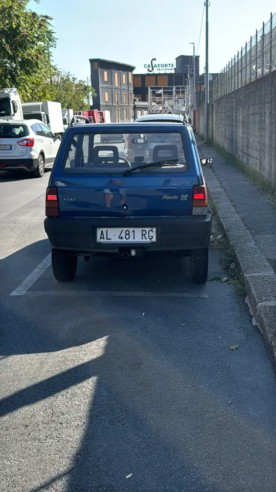 Fiat Panda 1.1 Country Club 4x4, foto 4