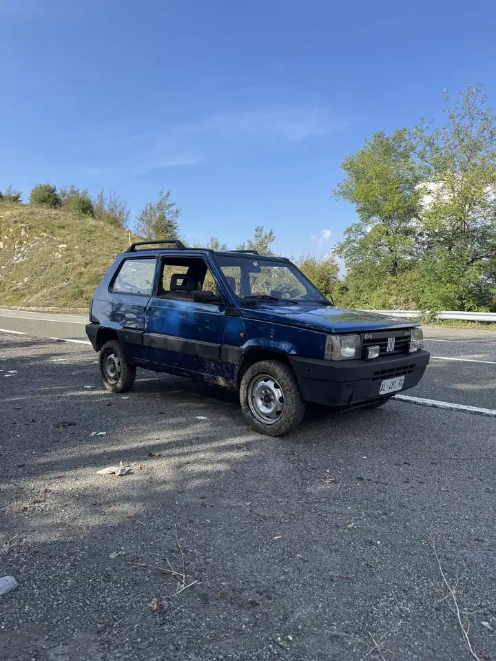 Fiat Panda 1.1 Country Club 4x4, foto 6