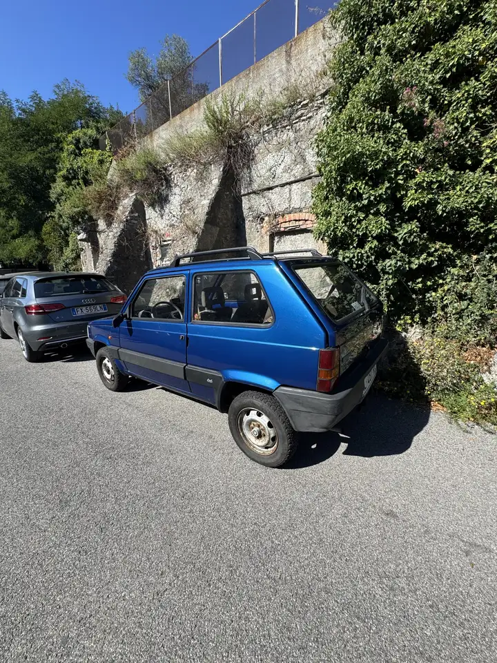 Fiat Panda 1.1 Country Club 4x4, foto 2