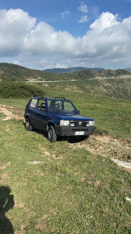 Fiat Panda 1.1 Country Club 4x4, foto 8