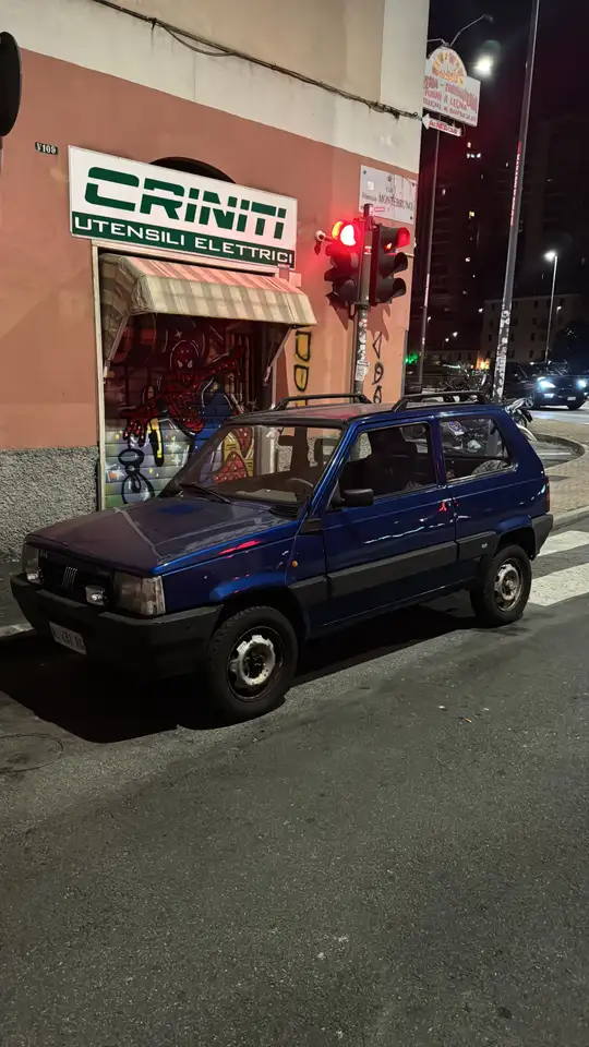 Fiat Panda 1.1 Country Club 4x4, foto 5