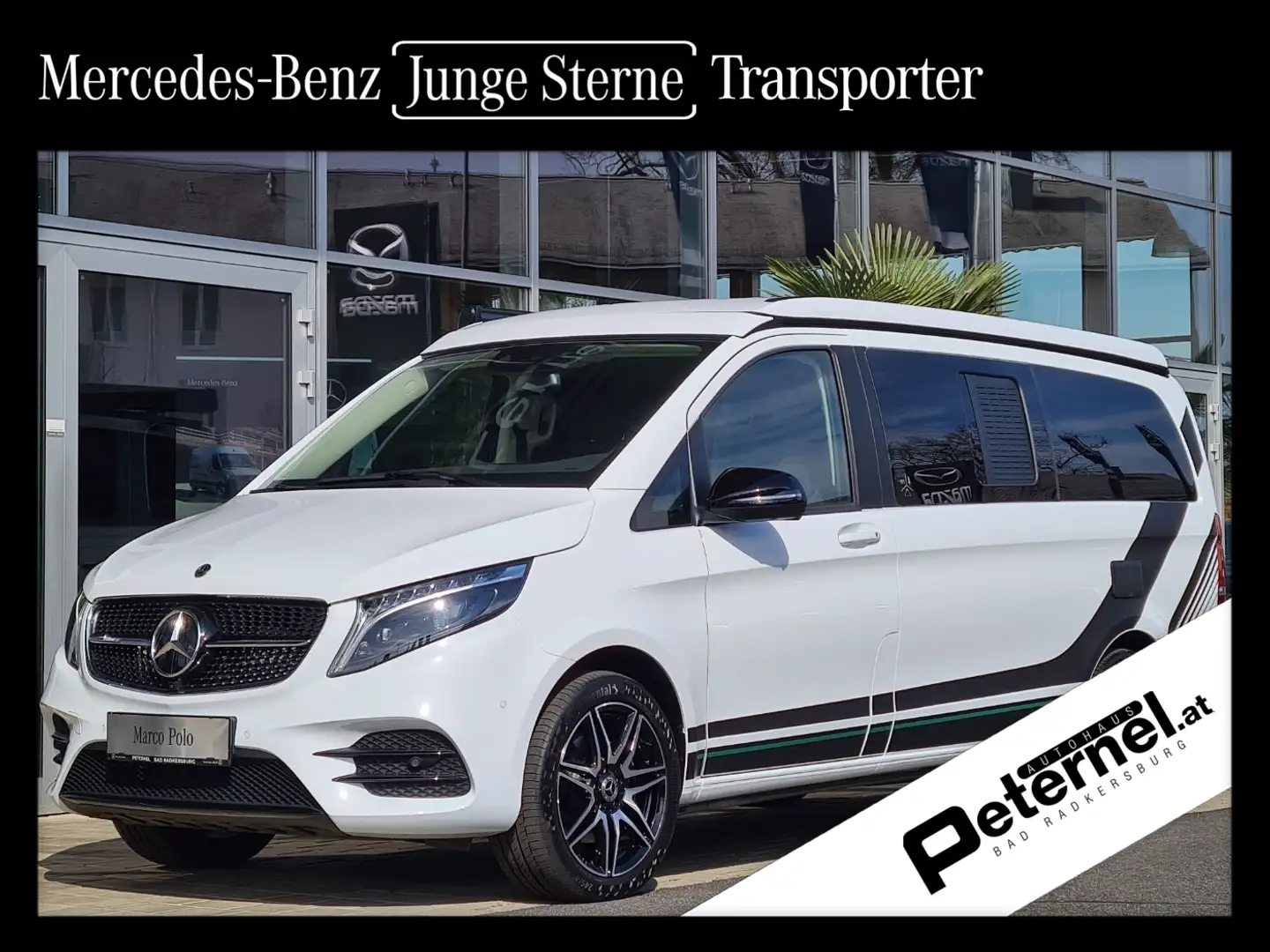 Mercedes-Benz Marco Polo 300 d 4MATIC AMG Night *Edition 2024* Blanc - 1
