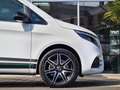 Mercedes-Benz Marco Polo 300 d 4MATIC AMG Night *Edition 2024* Bianco - thumbnail 11
