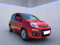 Fiat Panda 0.9 t.air t. Lounge s&s Dualogic IN ARRIVO Rot - thumbnail 3