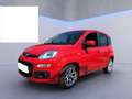 Fiat Panda 0.9 t.air t. Lounge s&s Dualogic IN ARRIVO Rot - thumbnail 2