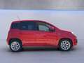 Fiat Panda 0.9 t.air t. Lounge s&s Dualogic IN ARRIVO Rot - thumbnail 5