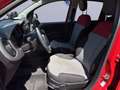 Fiat Panda 0.9 t.air t. Lounge s&s Dualogic IN ARRIVO Rot - thumbnail 13