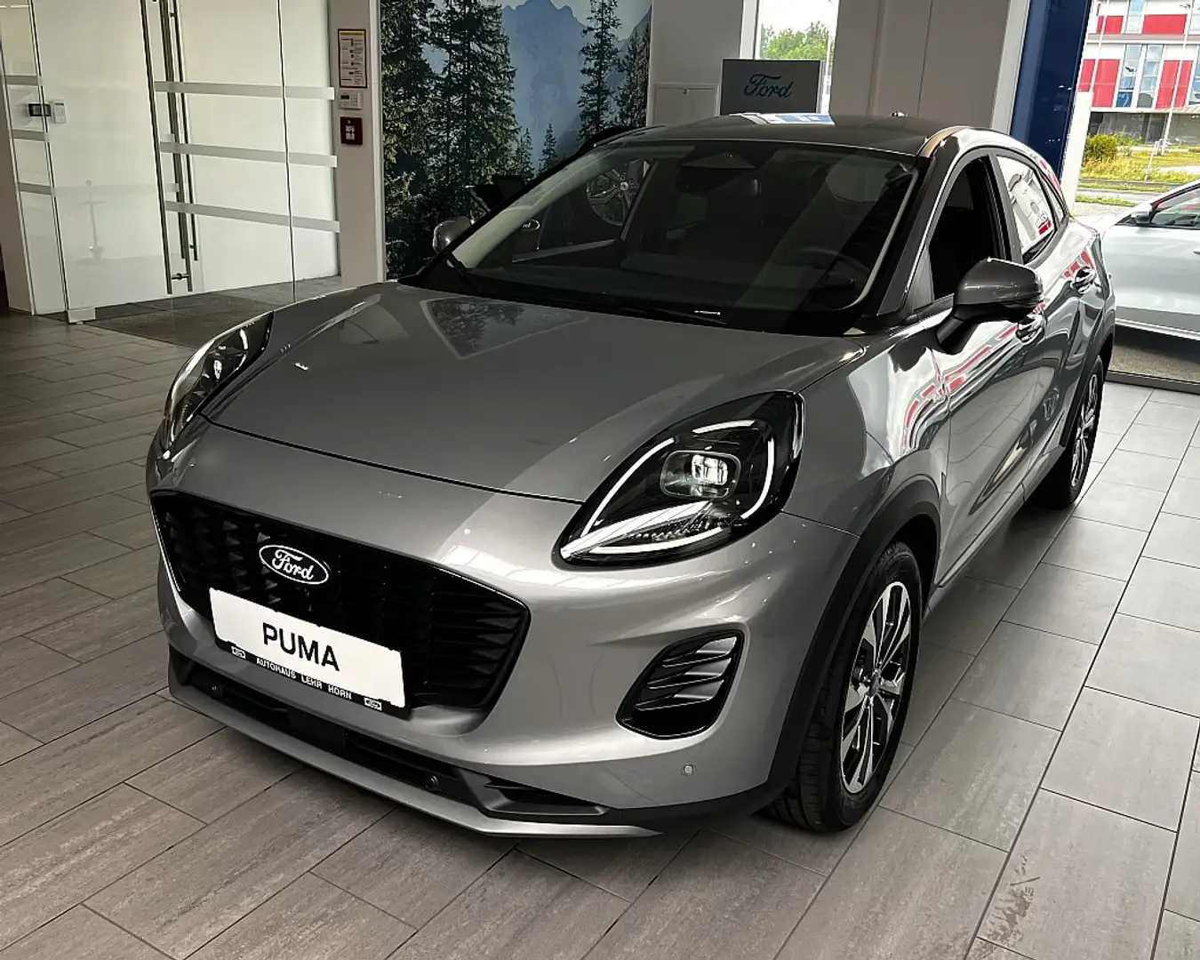 Ford Puma 1,0 EcoBoost Hybrid Titanium Silber - 1
