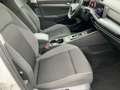 Volkswagen Golf VIII 2.0TDI DSG 5JG+MATRIX+NAV+AHK+PANO+HuD Weiß - thumbnail 12