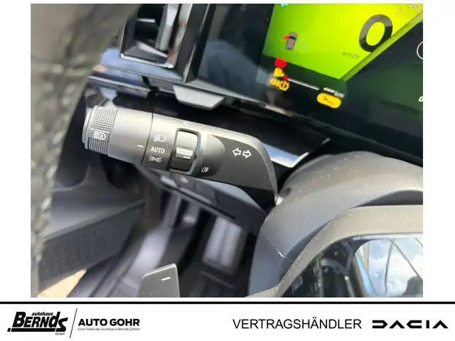 Renault Austral view 13