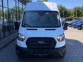 Ford Transit 396 Transit Kasten 2.0 EcoBlue 330 L2 H3 Trend Weiß - thumbnail 5