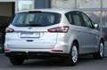 Ford S-Max 2.0 TDCi Aut. Trend Plateado - thumbnail 4