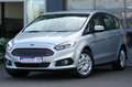 Ford S-Max 2.0 TDCi Aut. Trend Plateado - thumbnail 1