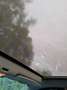 smart forTwo Grau - thumbnail 8