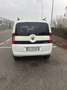 Fiat Qubo QUBO 1.3 MJT 95 CV Trekking EURO6 Blanc - thumbnail 5
