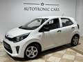 Kia Picanto 1.0 12V 5p. City Blanc - thumbnail 3