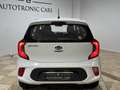 Kia Picanto 1.0 12V 5p. City Weiß - thumbnail 5