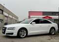 Audi A8 4.2 V8 tdi quattro tiptronic 350CV  IVA ESPOSTA - thumbnail 4
