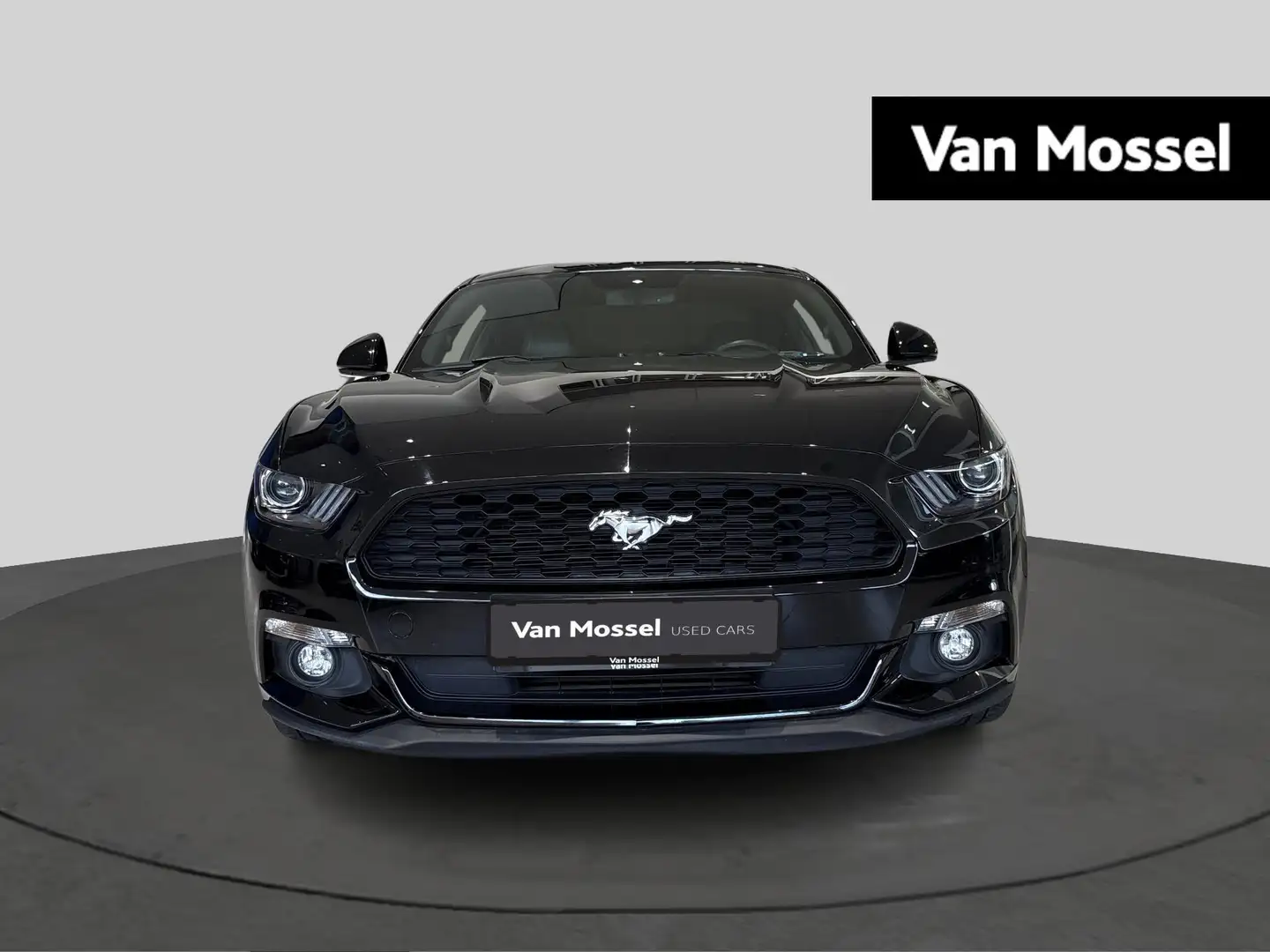 Ford Mustang 2.3i EcoBoost | 50 Years Edition | Automaat Zwart - 2