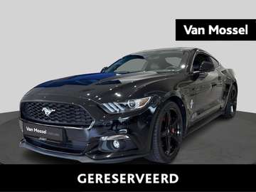 2.3i EcoBoost | 50 Years Edition | Automaat