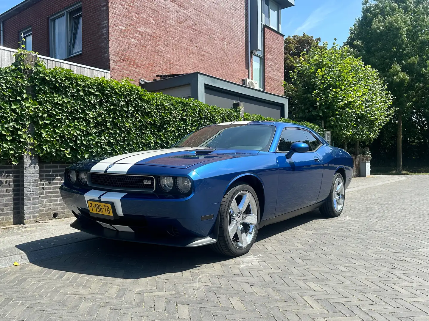 Dodge Challenger Challenger Blauw - 1