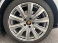 Porsche Taycan Turbo Sport Turismo Grau - thumbnail 38