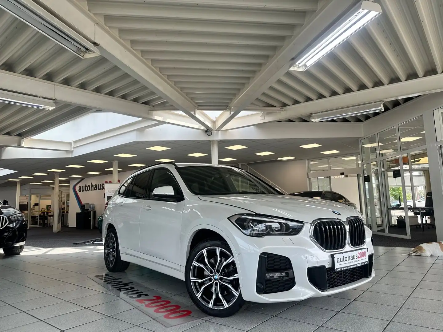 BMW X1 xDrive 25d M Sportpaket HUD/PANO/H&K/CAM Weiß - 1