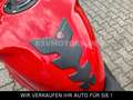 Ducati Panigale V2 AKRAPOVIC*PERFORMANCE*CARBON*LED Czerwony - thumbnail 14
