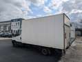 Iveco Daily 35S16 Kofferaufbau Ladebordwand, KLIMA,  ... Weiß - thumbnail 7