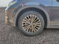 Volkswagen Tiguan 1.5 eTSI Elegance AHK ACC 360°Assist-Pack Grau - thumbnail 11