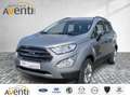 Ford EcoSport Titanium Sitzheizung*Klima*Rückfahrkamer Zilver - thumbnail 1