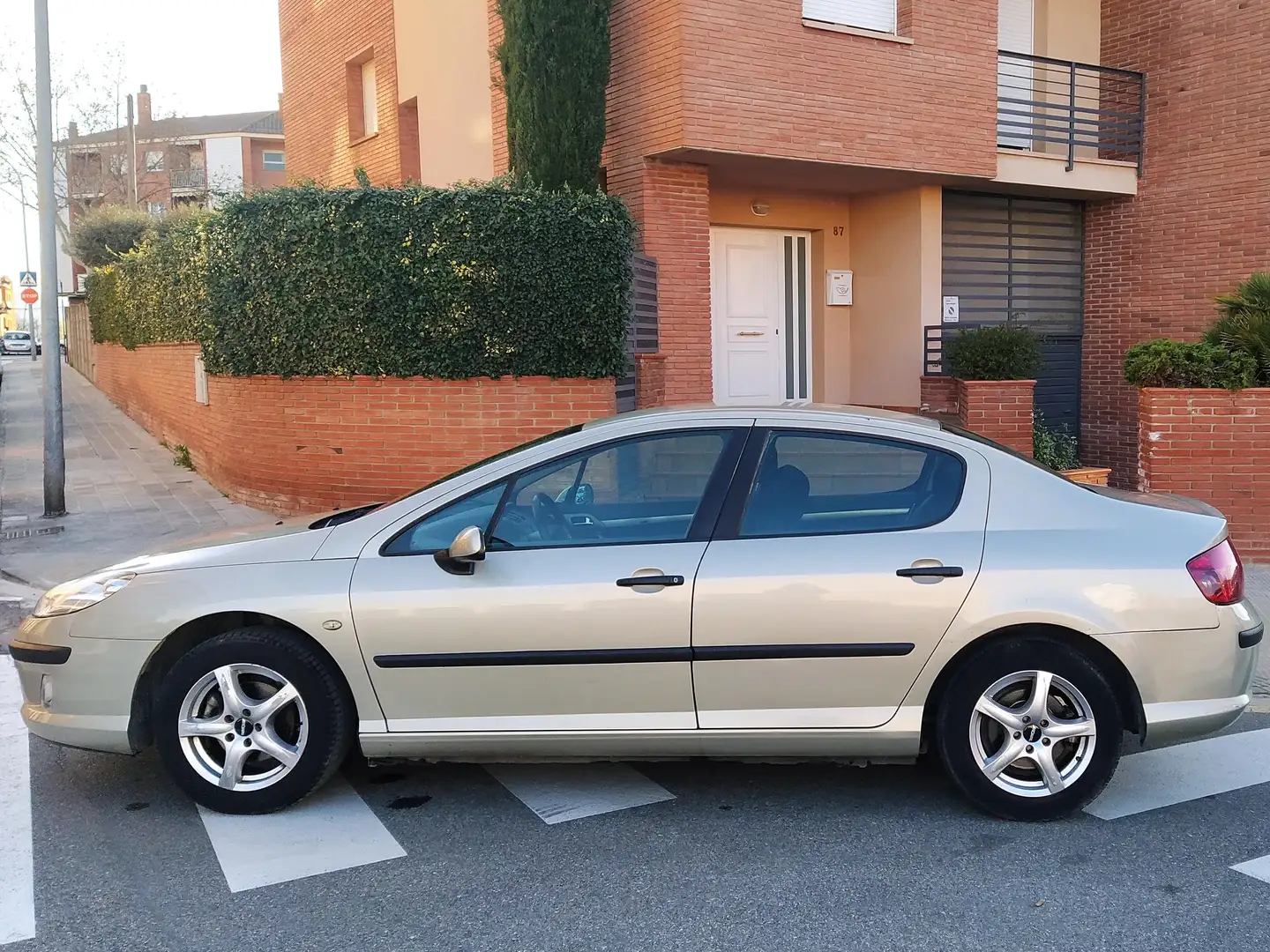 Peugeot 407 407 1.8 SR Confort Confort Oro - 2