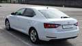 Skoda Superb 1.6 TDI, 120CV, manuale, "Executive", Garanzia.. Bianco - thumbnail 5