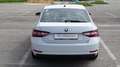 Skoda Superb 1.6 TDI, 120CV, manuale, "Executive", Garanzia.. Bianco - thumbnail 6