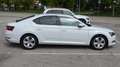 Skoda Superb 1.6 TDI, 120CV, manuale, "Executive", Garanzia.. Bianco - thumbnail 8