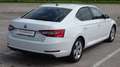 Skoda Superb 1.6 TDI, 120CV, manuale, "Executive", Garanzia.. Bianco - thumbnail 7