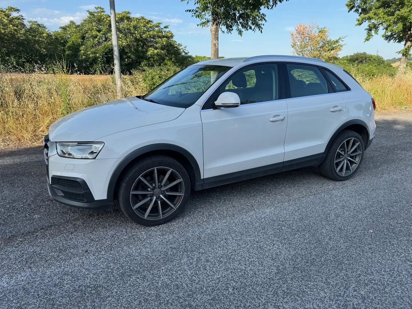 Audi Q3 Q3 2.0 tdi Business quattro 150cv s-tronic Bianco - 1
