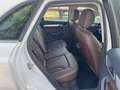 Audi Q3 Q3 2.0 tdi Business quattro 150cv s-tronic Bianco - thumbnail 6