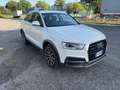 Audi Q3 Q3 2.0 tdi Business quattro 150cv s-tronic Bianco - thumbnail 4