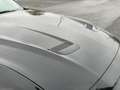 Ford Mustang Cabrio 2.3 Premium Paket Leder 10-Gang Negro - thumbnail 13