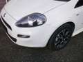 Fiat Punto Punto Evo Formula 1,4 75 Formula Weiß - thumbnail 8