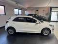 Kia Rio Rio 1.0 t-gdi mhev Style 100cv imt Blanco - thumbnail 23