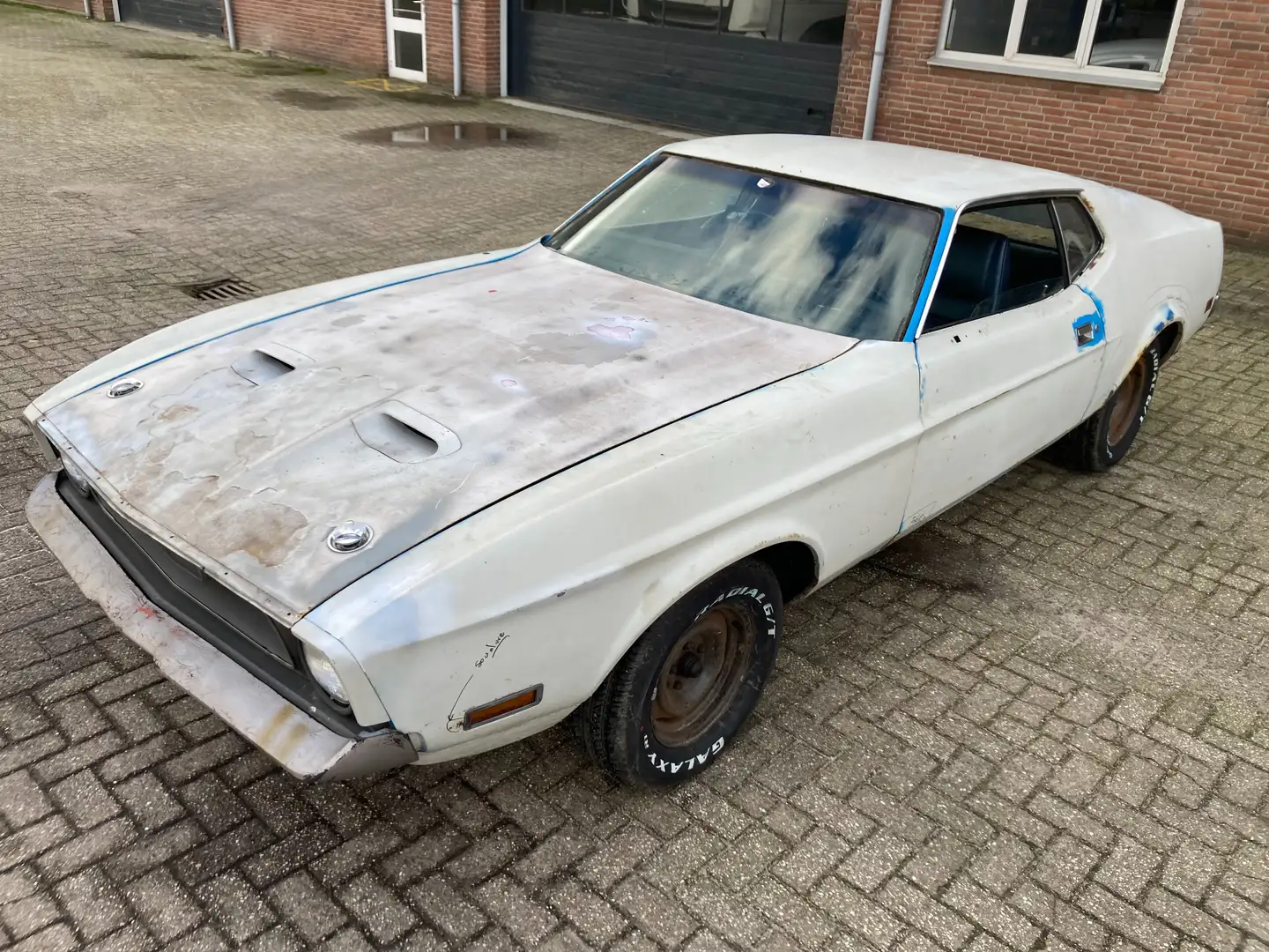 Ford Mustang Mach 1 Blauw - 1