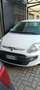Fiat Punto Evo 5p 1.2 Dynamic 65cv - thumbnail 2