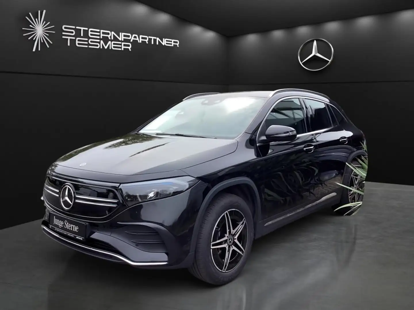 Mercedes-Benz EQA 250 +AMG+MBUX+KAMERA+Ambiente+SHZ+AUT+LED Noir - 2