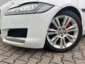 Jaguar XF Prestige AWD 2.HD|LED|HEAD-UP|LED|SPUR|KAMERA Blanc - thumbnail 4